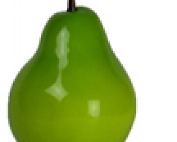 Pear V2- Trái lê V2